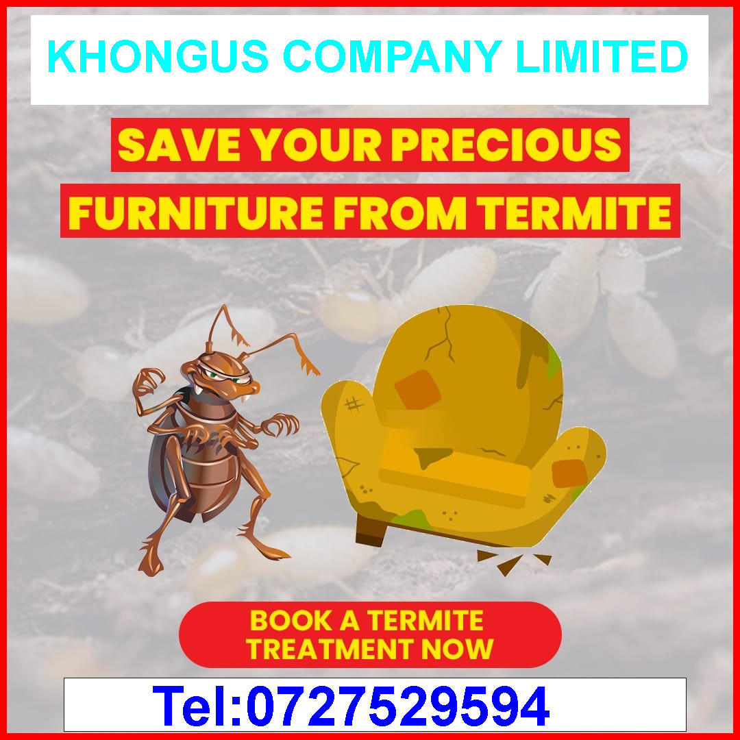Fumigation of Termites