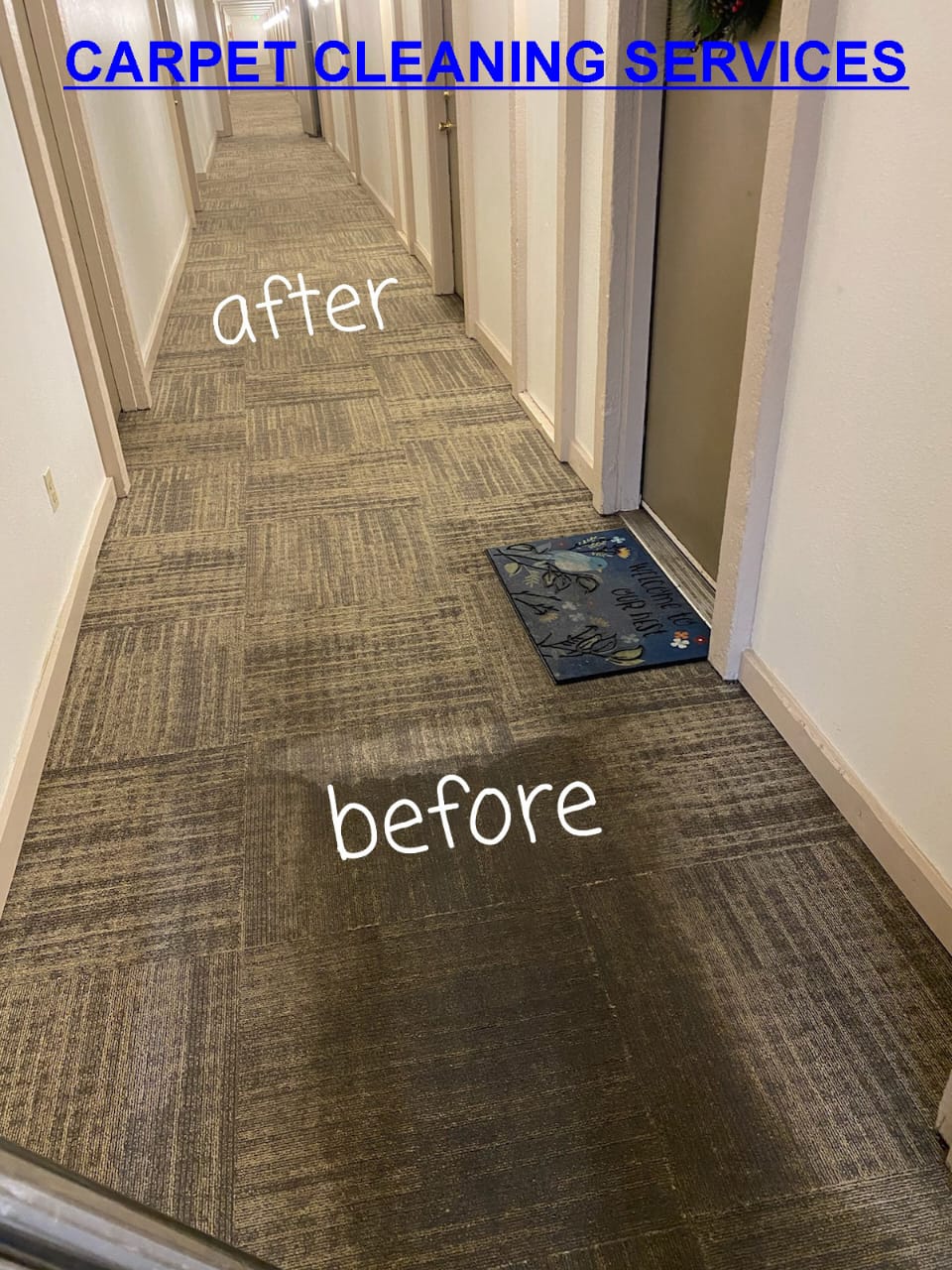 Carpet Cleaning