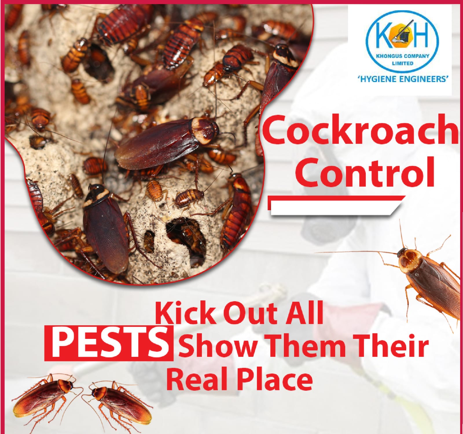 Cockroach Control