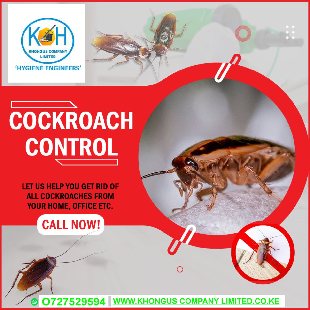 Cockroach Extermination