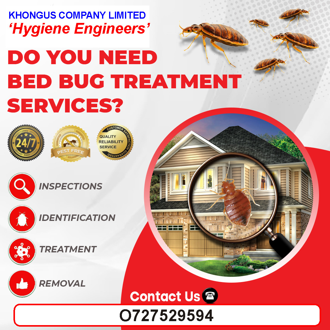 Bedbugs Treatment