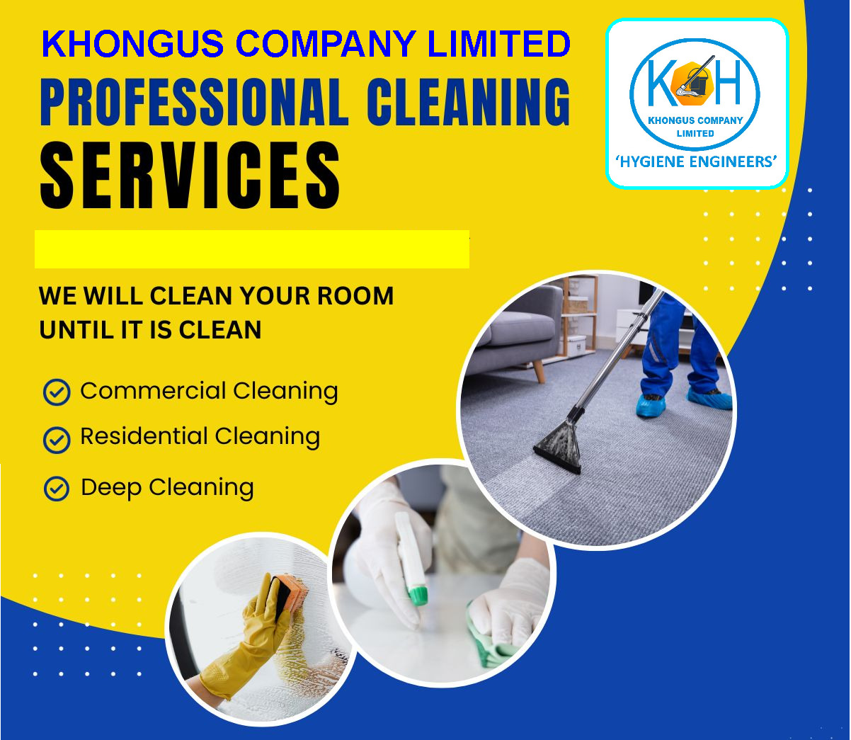 Professional Cleaning