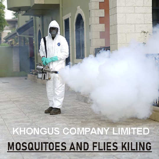 Mosquitoes Fumigation